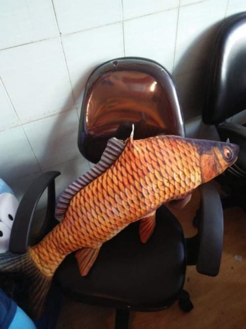 Cá chép 3D