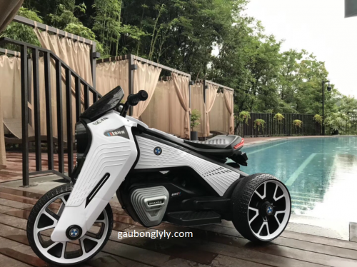 Xe Moto Điện Chân Ga 2019